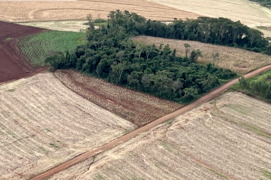 Novo cronograma do crédito rural traz alívio aos produtores