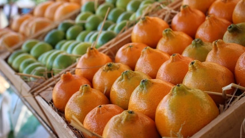 Brasil registra aumento de 7,3% nas exportações de suco de laranja