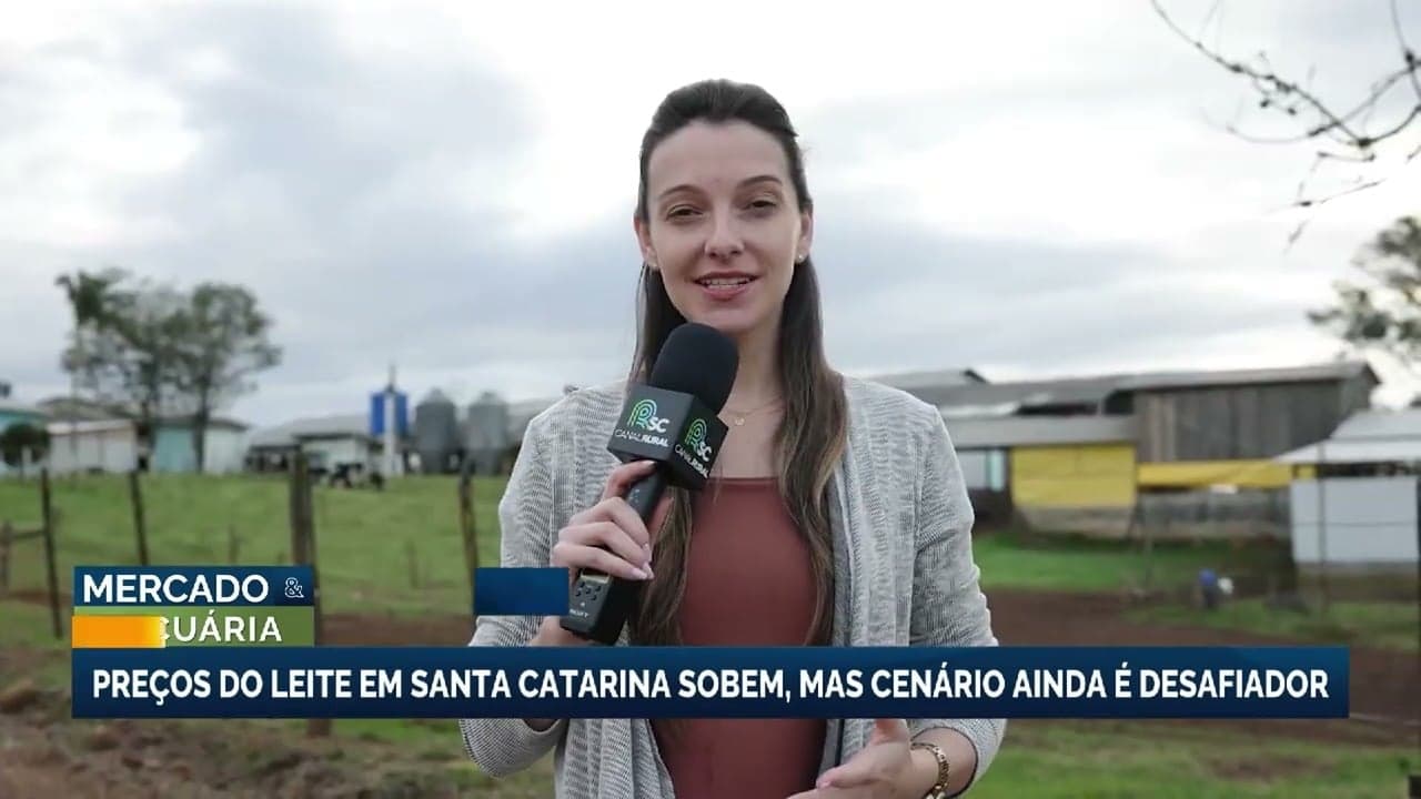 Setor leiteiro de Santa Catarina inicia recuperação em 2026