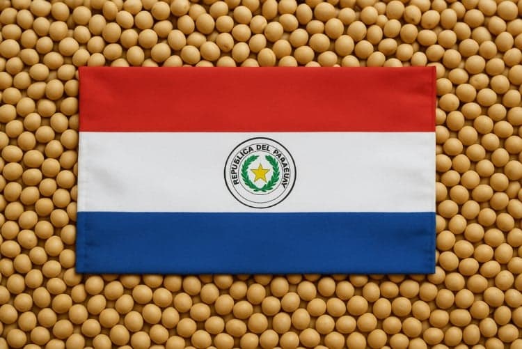 Paraguai inicia plantio da safra de soja 2026/27 em Canindeyú