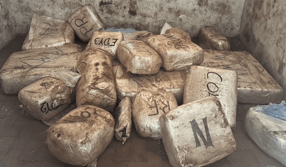 Polícia apreende 300 kg de drogas em Serra Negra, SP