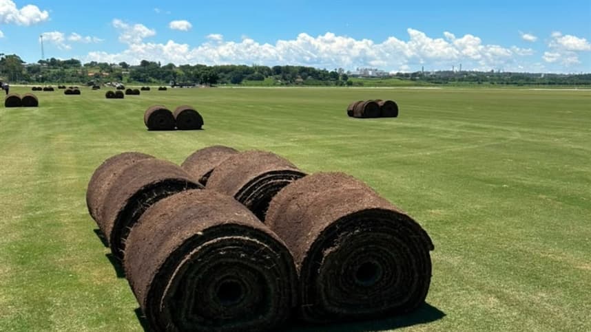 Gramicultura no Brasil cresce com foco em qualidade e tecnologia