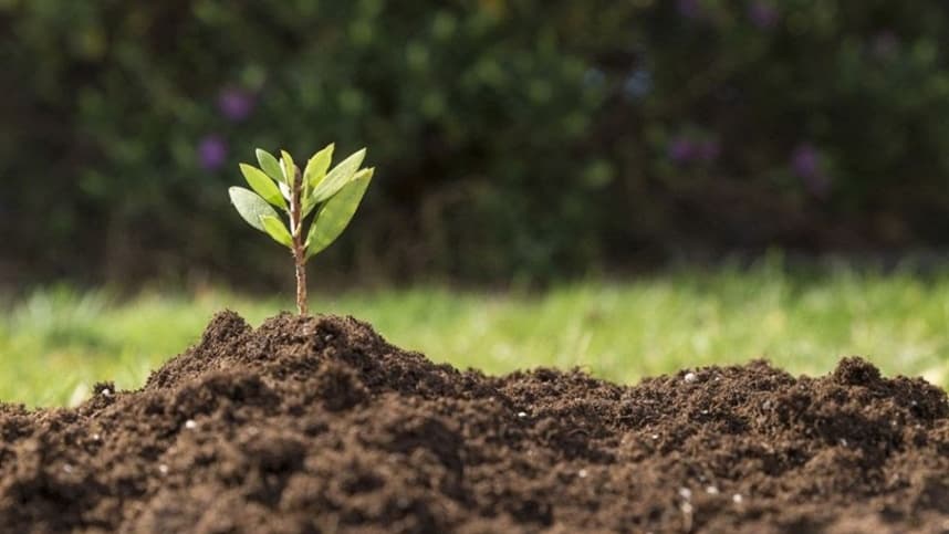 IV Simpósio de Solos Arenosos destaca importância para pesquisa agrícola