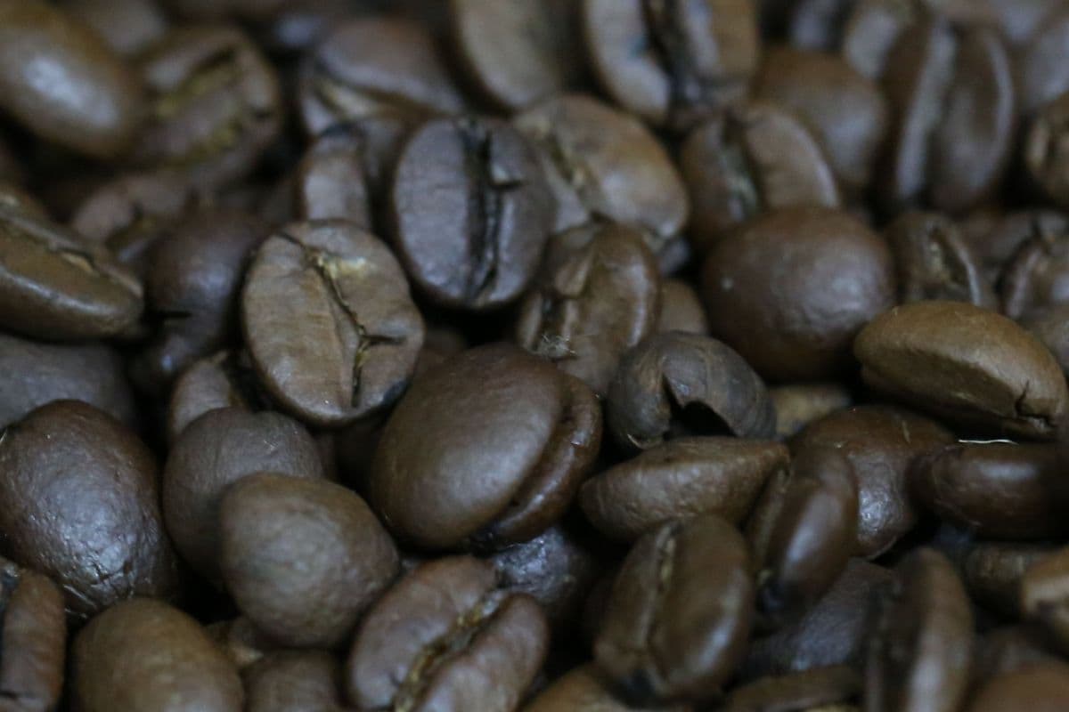 Café brasileiro tem leve alta nas exportações, mas receita despenca