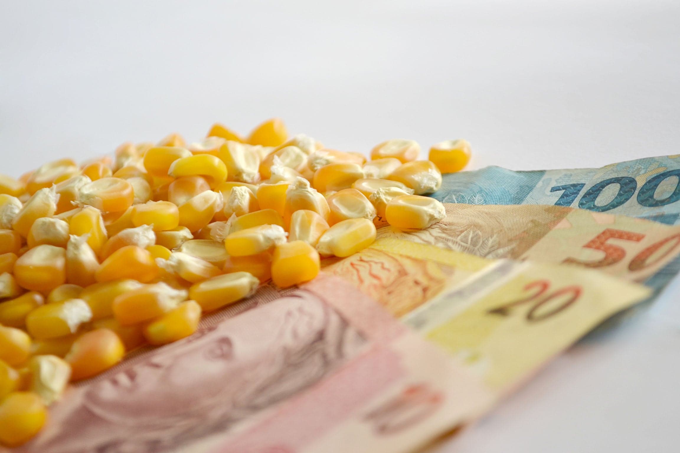 Previsões do mercado de milho apontam volatilidade em junho