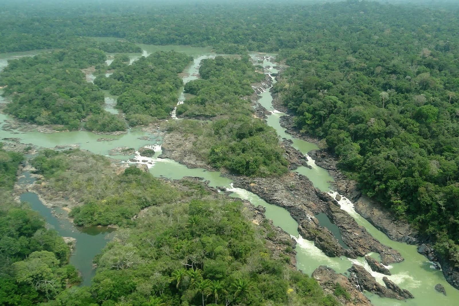 Senado aprova transformação da Floresta do Jamanxim em APA
