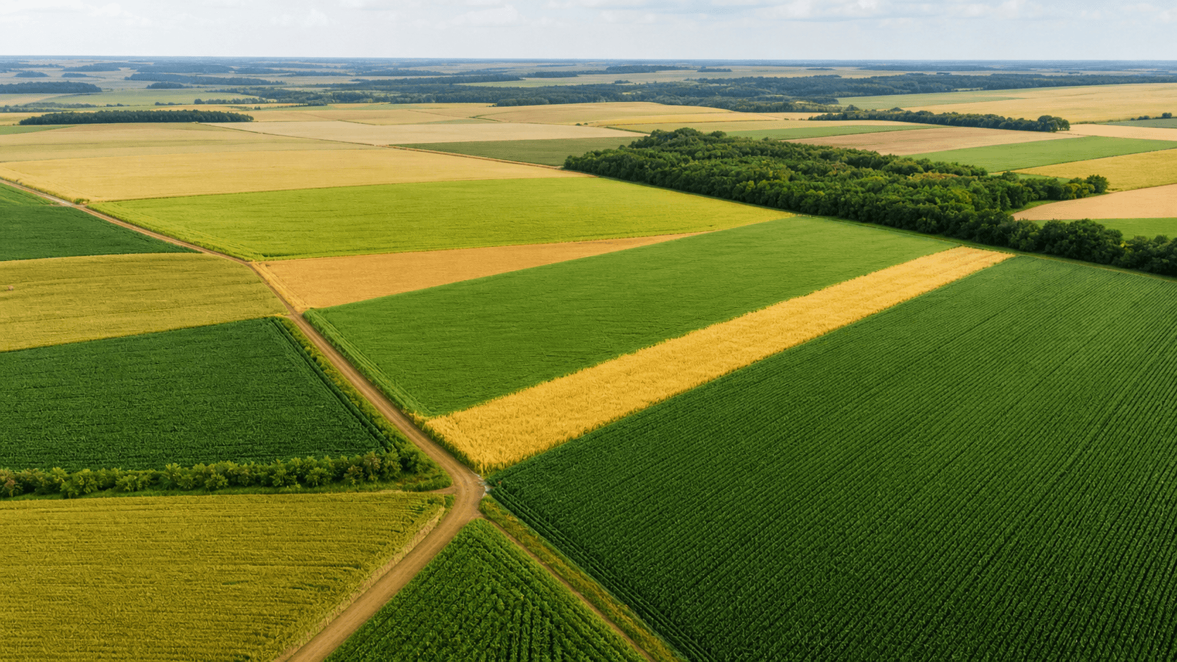 USDA Aumenta Projeções de Produção de Milho e Soja para 2026/27