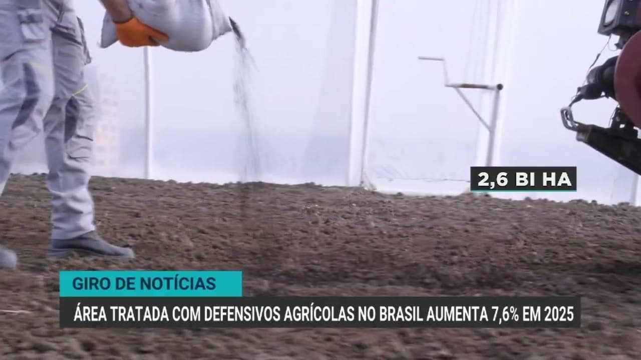 Dólar valorizado aumenta preços da soja e expande produção no Brasil