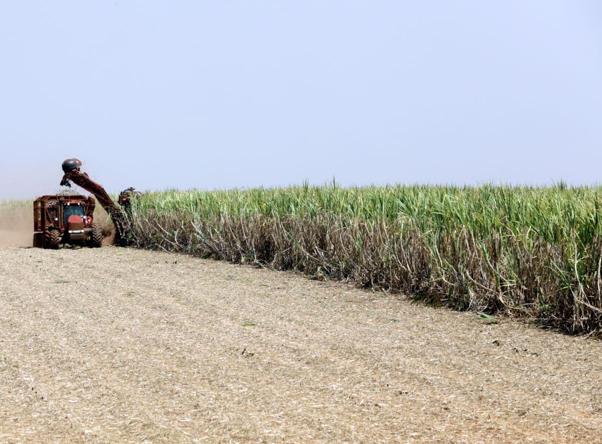 Paraguai regula uso do etanol para impulsionar produção nacional