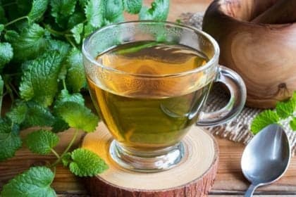 Chá de melissa: 8 benefícios para a saúde que você precisa conhecer