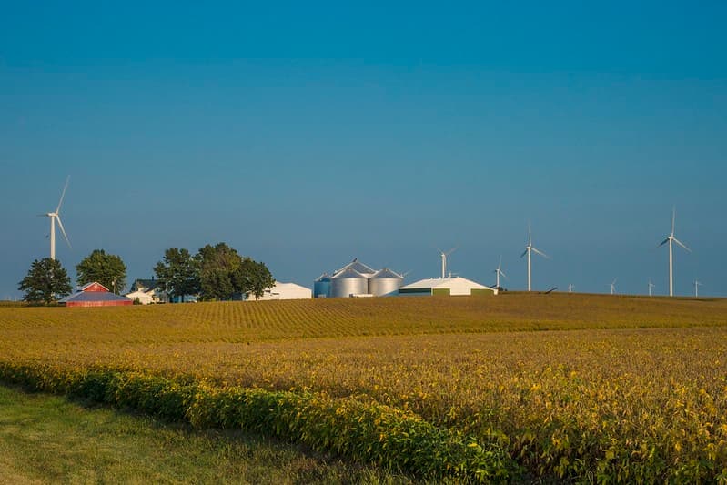 Pro Farmer Crop Tour projeta safra de soja acima do USDA