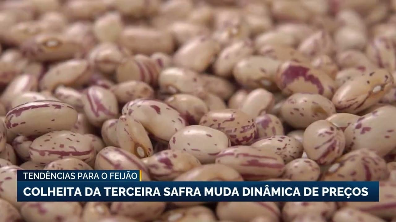 Terceira safra de feijão no Brasil provoca queda de preços