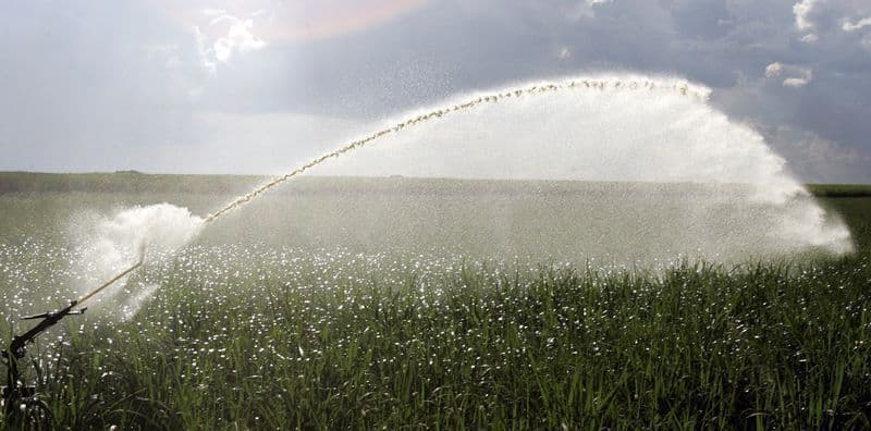 Safra de cana-de-açúcar do Brasil deve chegar a 632 milhões de toneladas