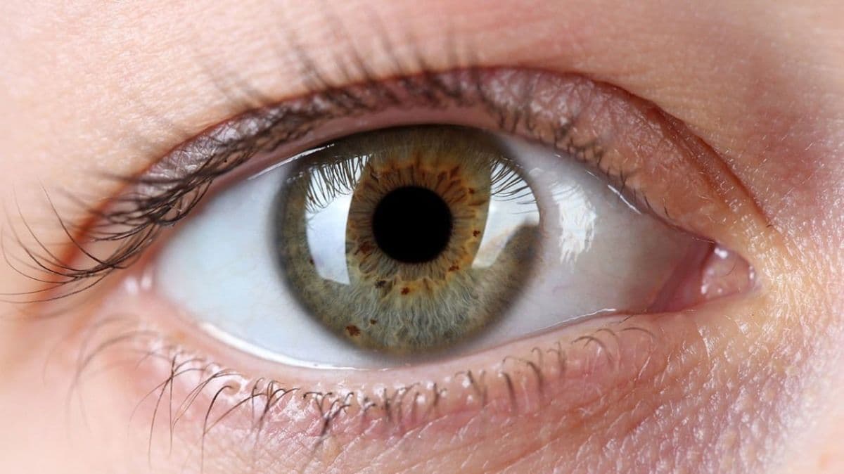 Glaucoma: medir pressão ocular pode salvar sua visão
