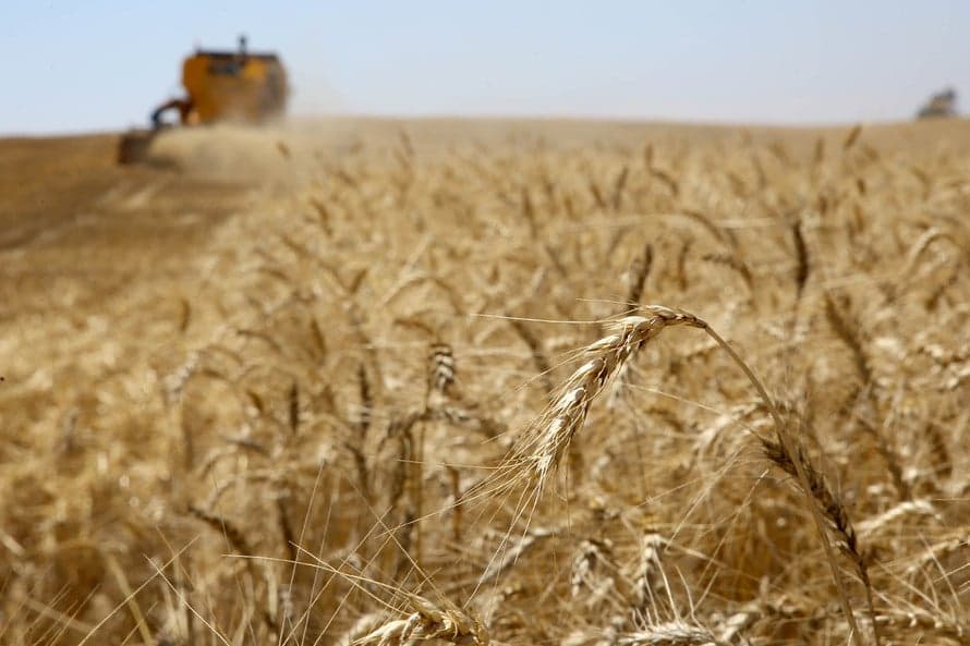 Enchente no Rio Grande do Sul afeta moinhos em maior proporção do que áreas agrícolas