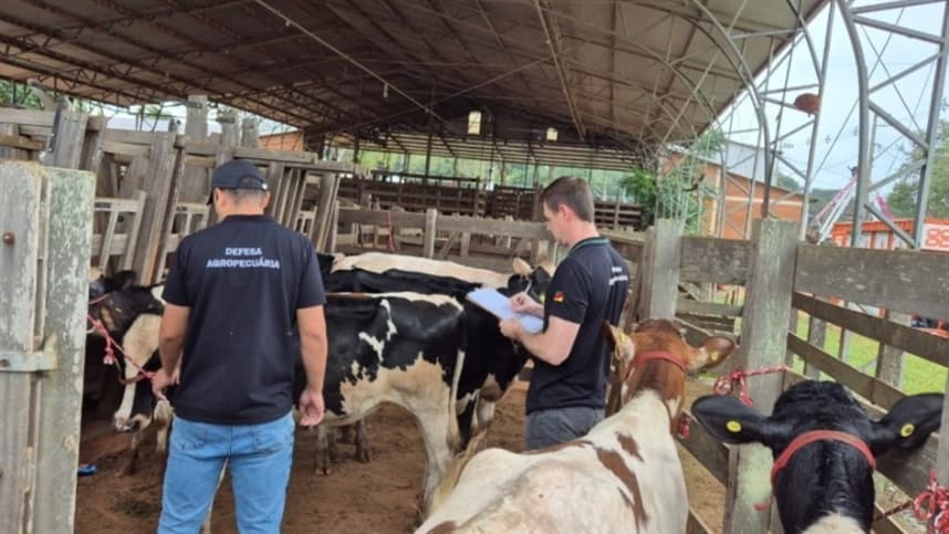 SVO-RS inspeciona animais para Fenasoja 2026 em Santa Rosa