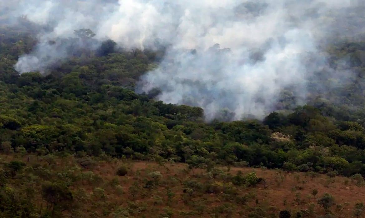 Mais incêndios florestais são esperados no Brasil em 2026