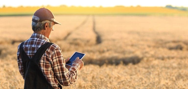 Arrendamento e parceria rural: impactos da Reforma Tributária