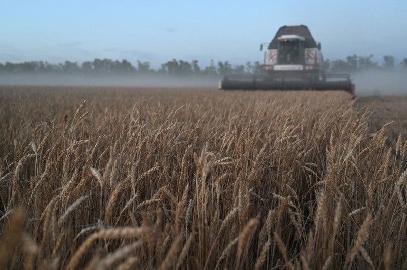 Aumento de custos pressiona produtores gaúchos, diz Farsul
