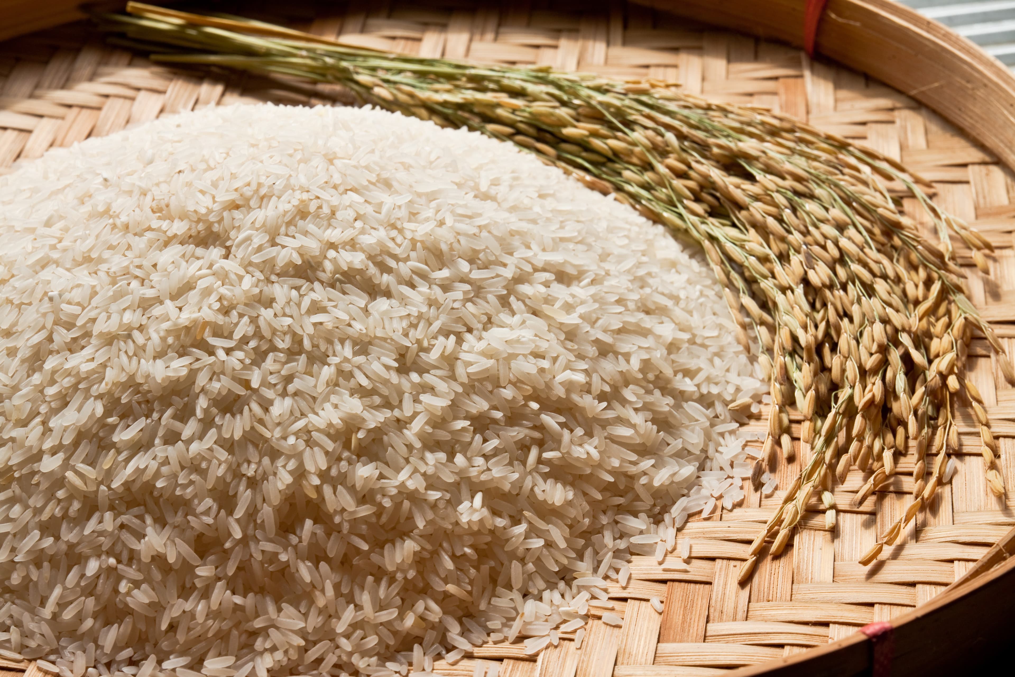 Exportações de arroz do Brasil alcançam recorde em 2026