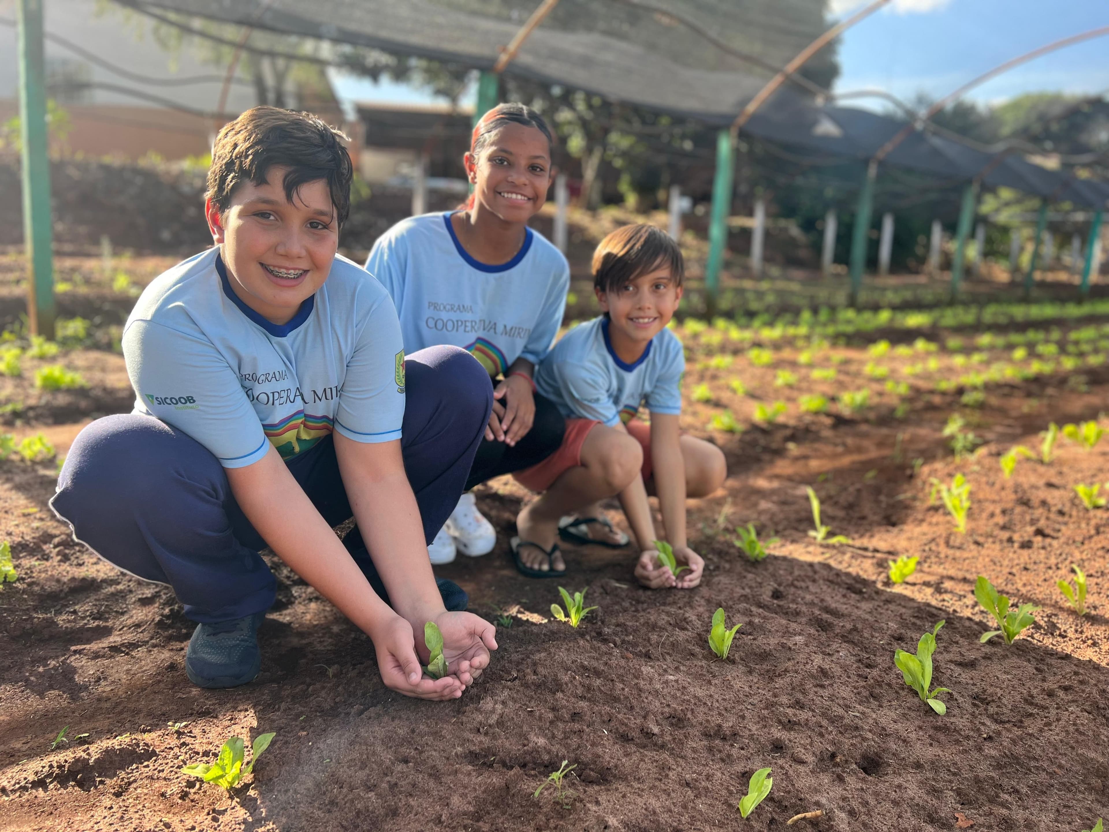 Cooperativa Mirim em Terraboa cresce com jovens empreendedores