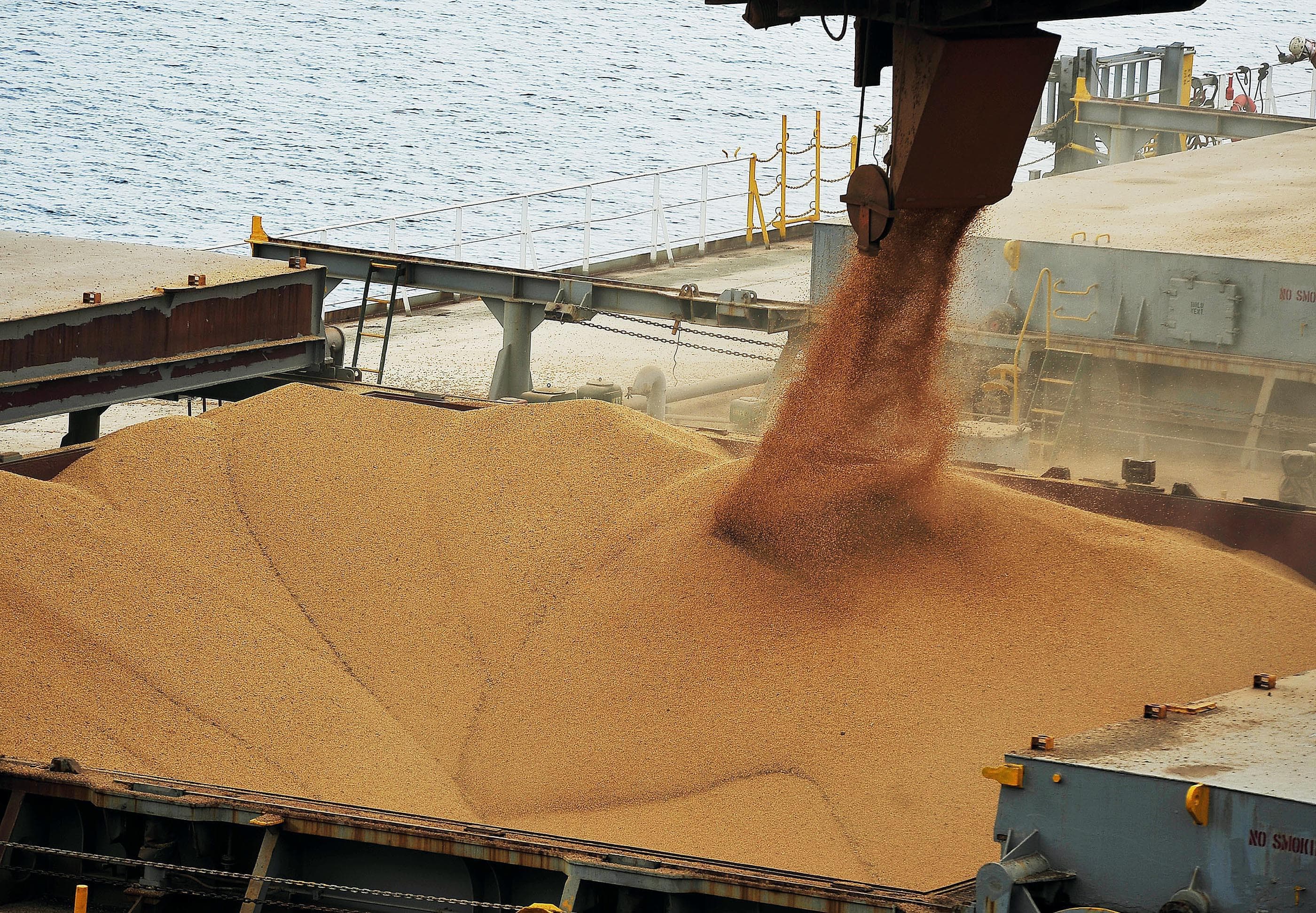 Exportações de soja brasileiras atingem US$ 661 milhões em julho