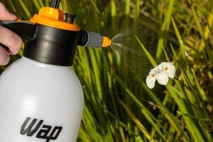 Escolher sistema de irrigação ideal é essencial para jardinar