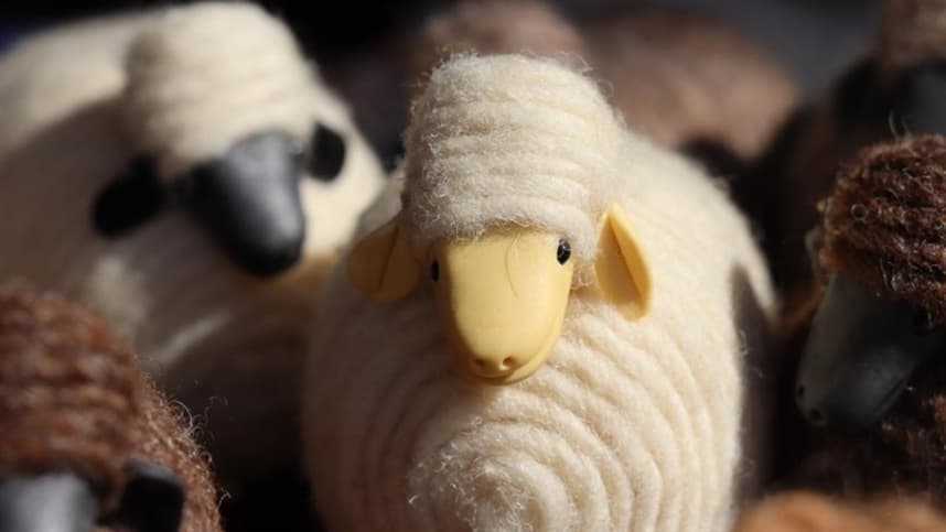 Pesquisa revela perfil de artesãos de lã no Rio Grande do Sul