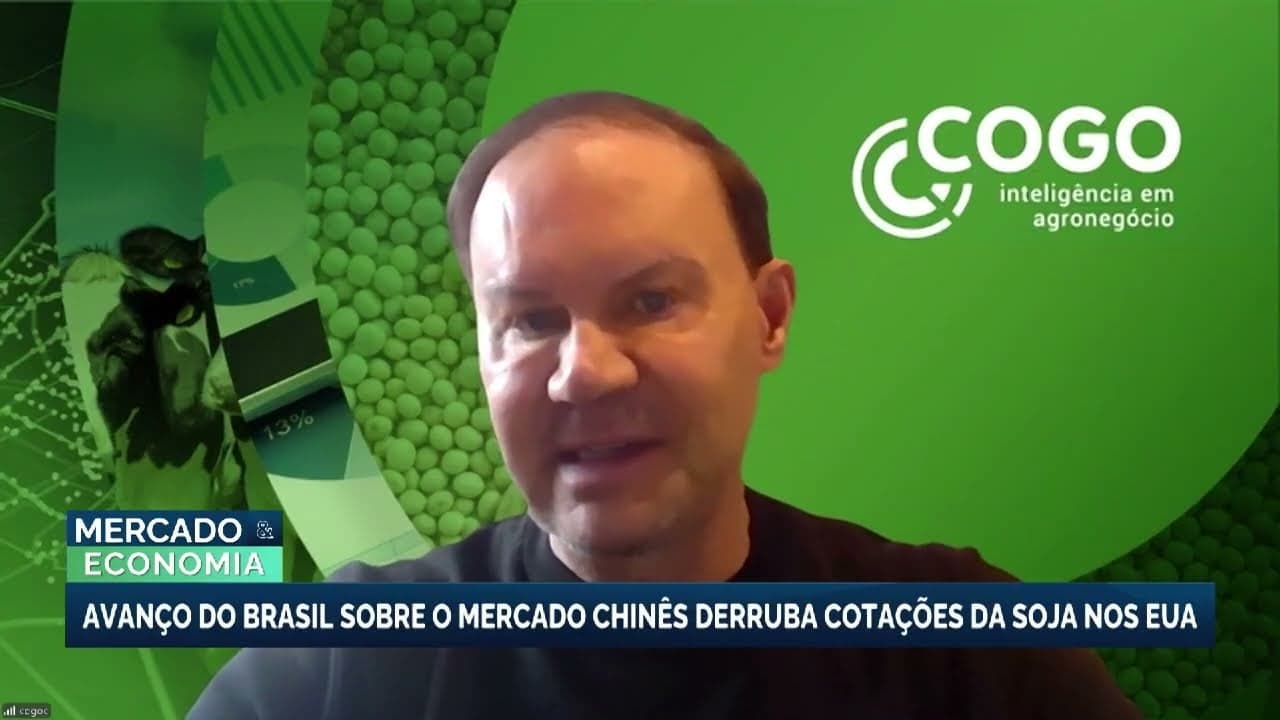 Cotações da soja caem em Chicago com expectativa de aumento nas exportações brasileiras
