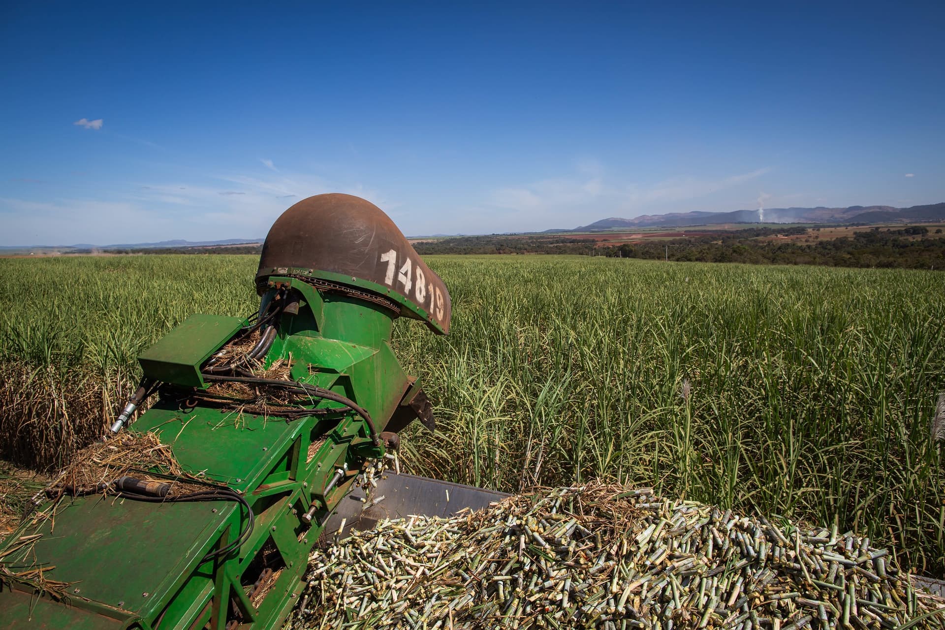 Cana-de-açúcar tem moagem recorde e impulsiona produção de etanol