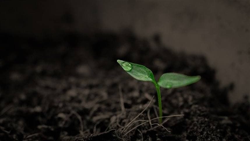 Allterra destaca manejo do solo como ativo estratégico no agronegócio