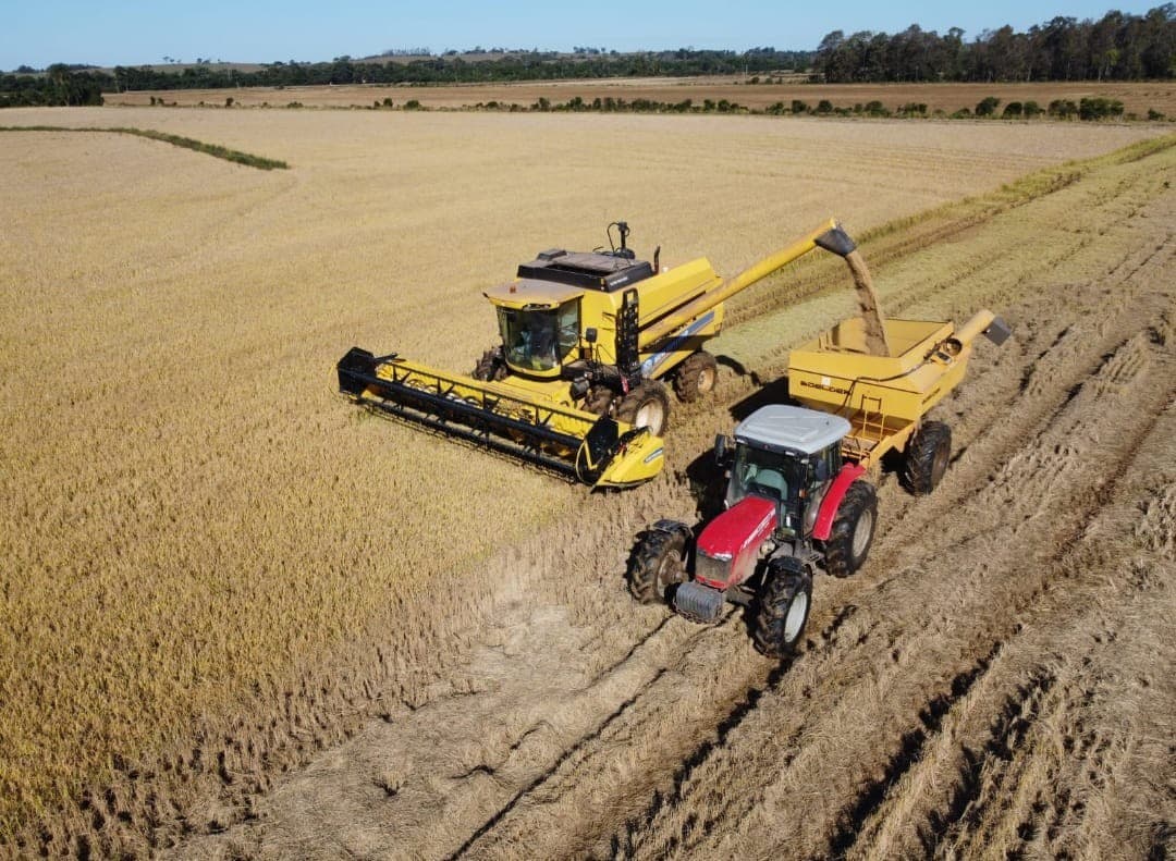 Federarroz alerta sobre riscos do Plano Safra para produtores de arroz