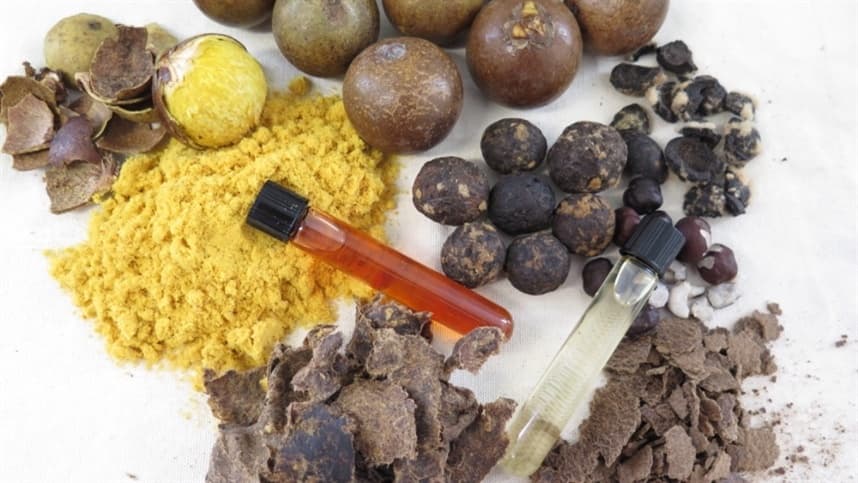 Embrapa Agroenergia aprova projetos inovadores na sustentabilidade agrícola