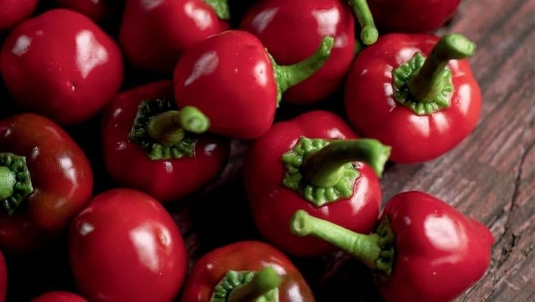 Pimenta-de-bode ganha espaço no Brasil com fácil cultivo e demanda