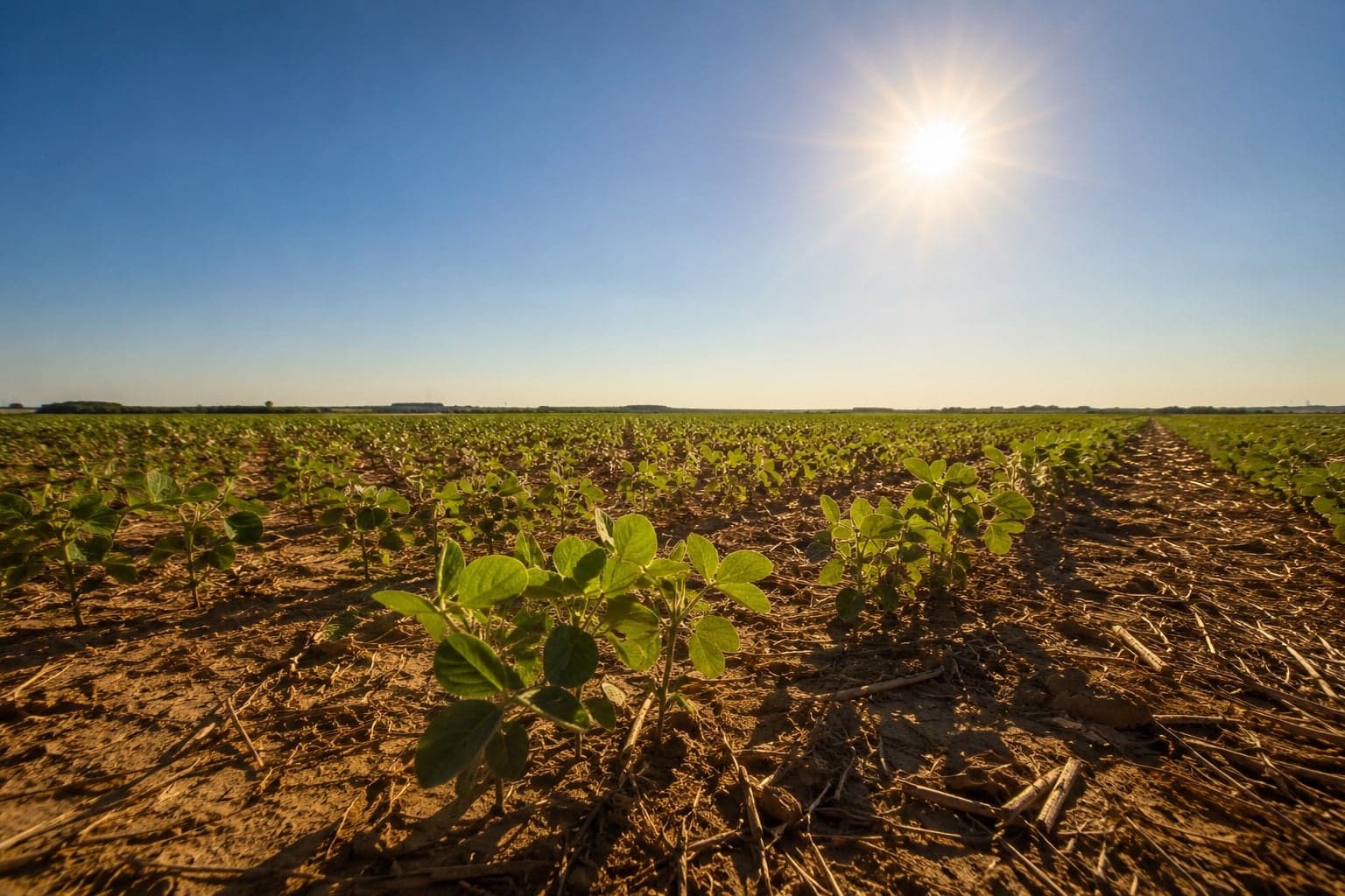 El Niño gera alerta para safra 2026/27 no Brasil