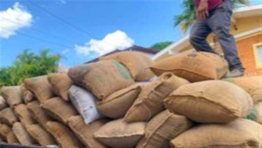 Pressão sobre preços do café cresce com fim da colheita no Brasil