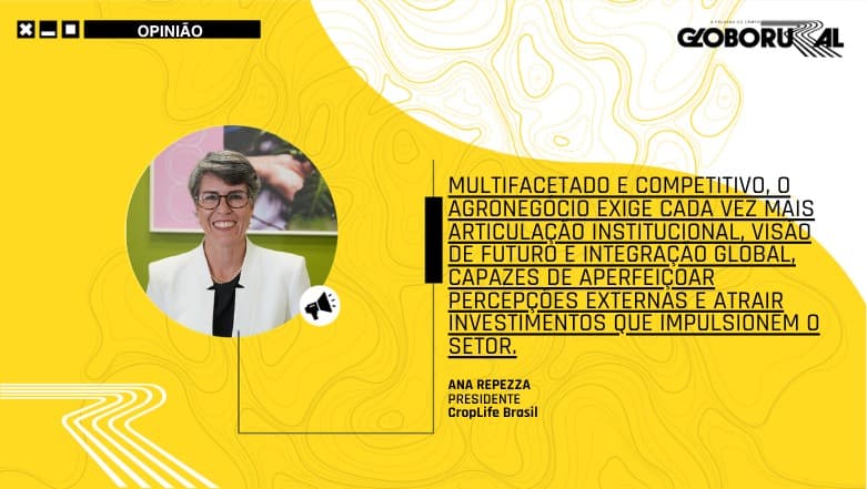 Brasil se destaca na segurança alimentar global com agronegócio forte