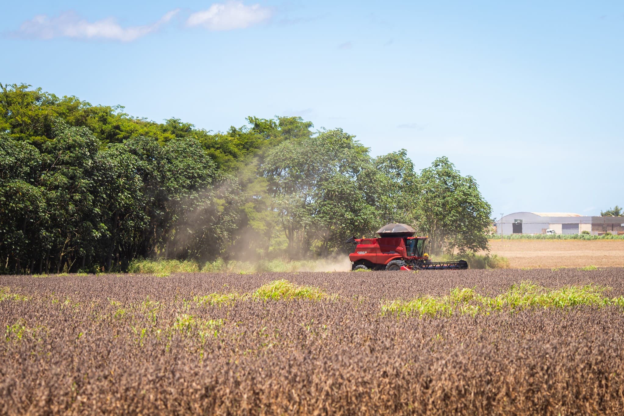 Produtores rurais do Paraná podem iniciar renegociação de dívidas