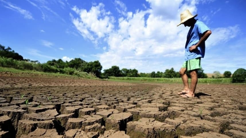 Seca implacável afeta gravemente a indústria agrícola da Argentina