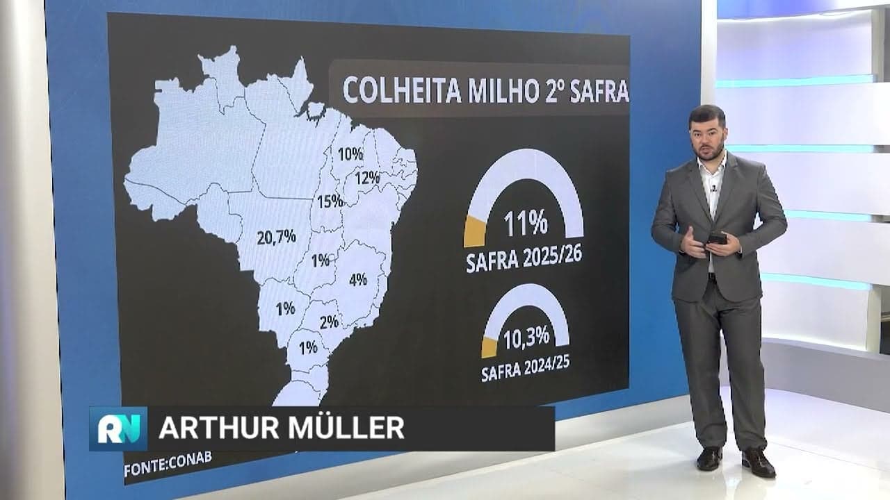 Colheita do milho safrinha avança apesar de chuvas no Paraná
