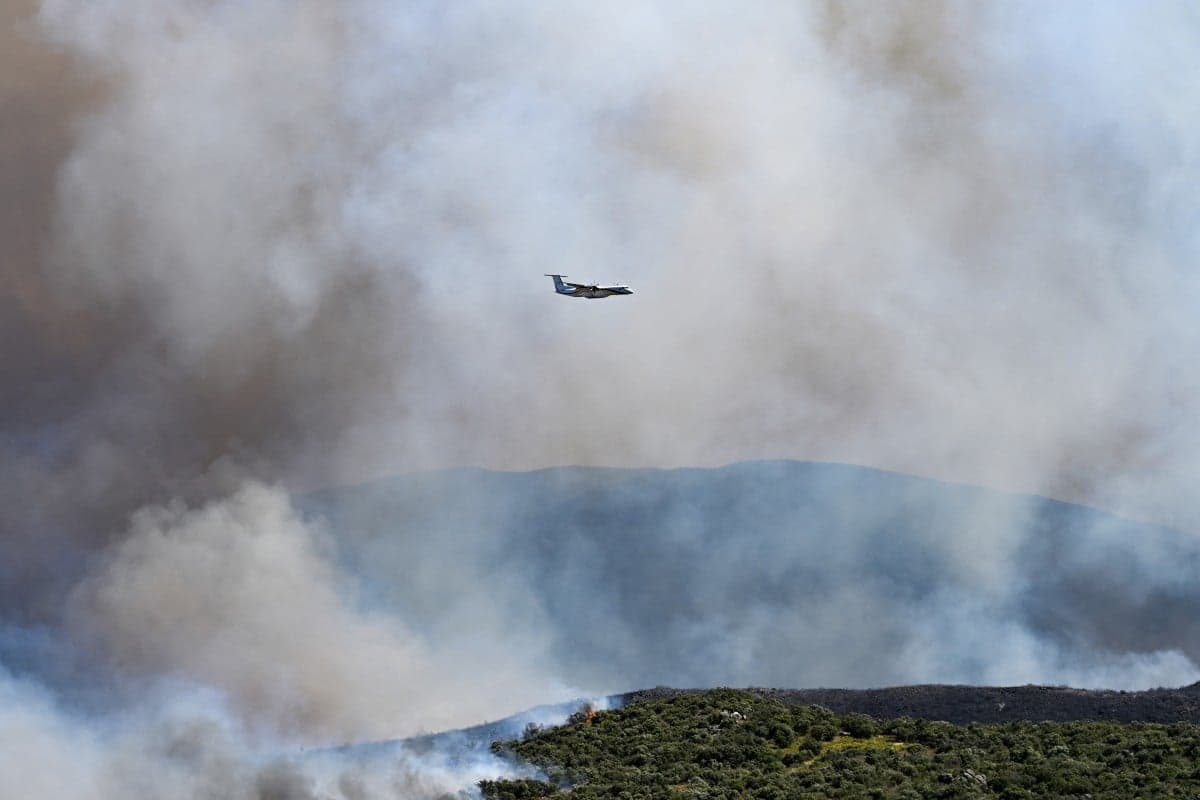 Incêndios florestais devastam hectares na Europa em meio a onda de calor