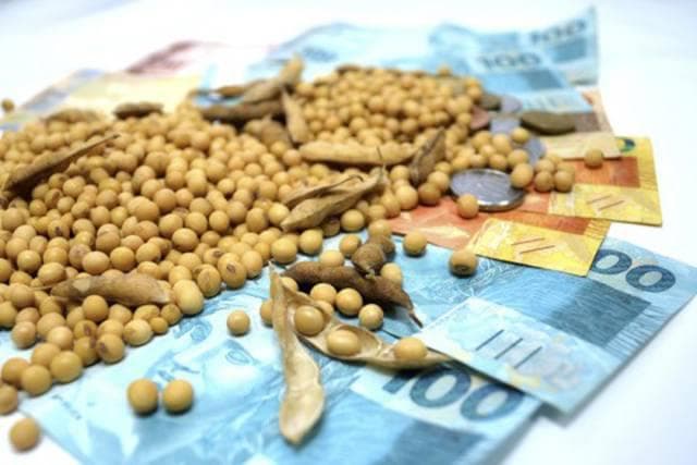 Mercado de soja no Brasil mantém estabilidade amid expectativas