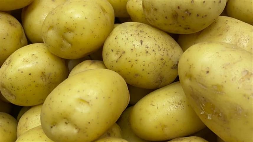 Preço da batata no atacado em MG sofre expressiva queda devido à ausência de chuvas