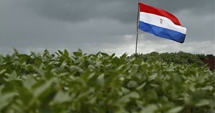 Safra paraguaia influencia mercado de soja e milho no Brasil