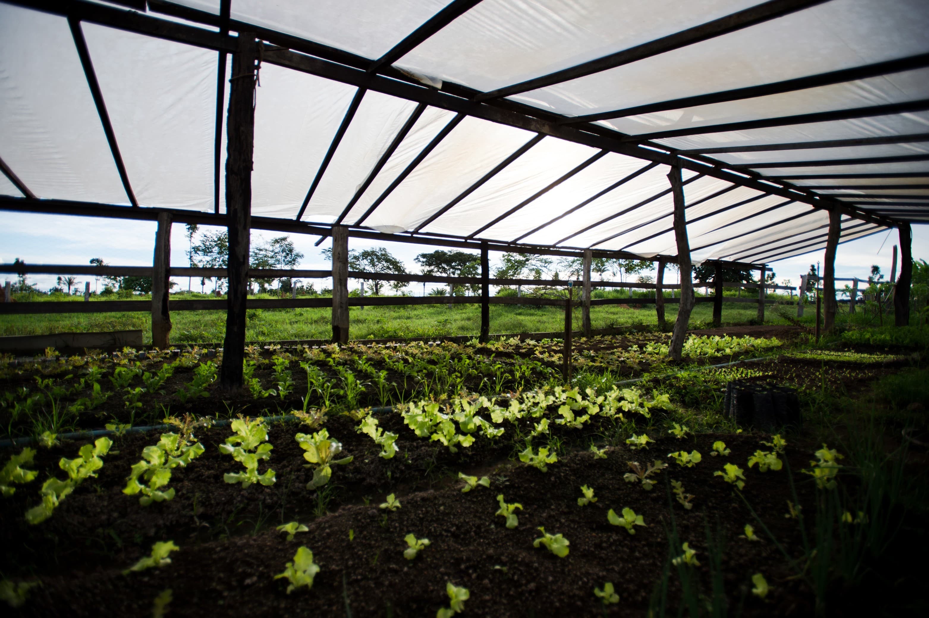 Pronaf recebe R$ 375 milhões para fortalecer agricultura familiar
