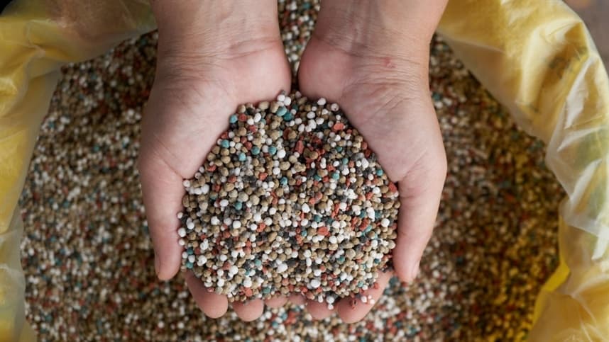 Mercado global de fertilizantes enfrenta calmaria em negociações