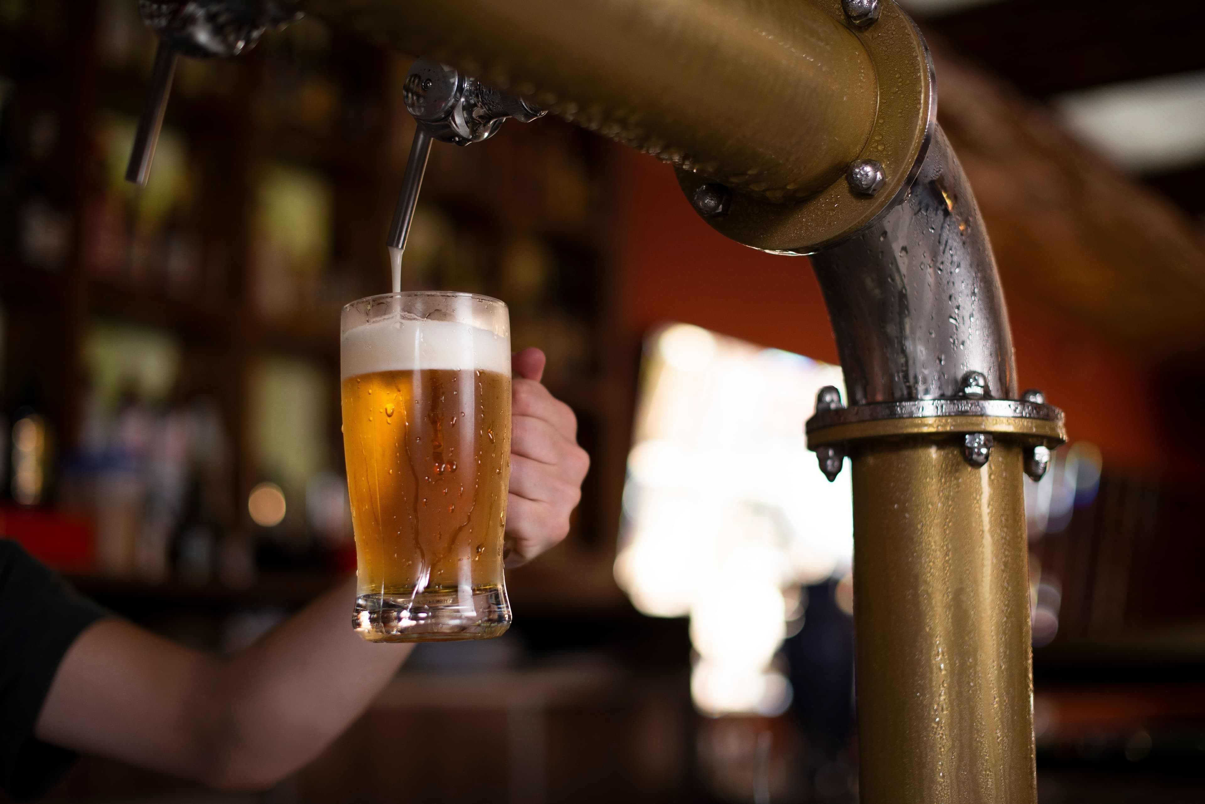 Brasil Beer Cup 2026 premia melhores rótulos em Florianópolis