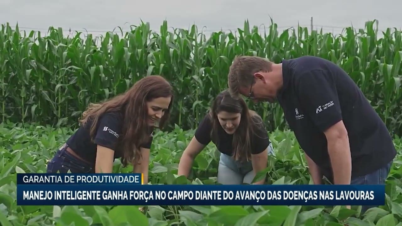 Avanço de doenças nas lavouras pressiona agricultores na produção
