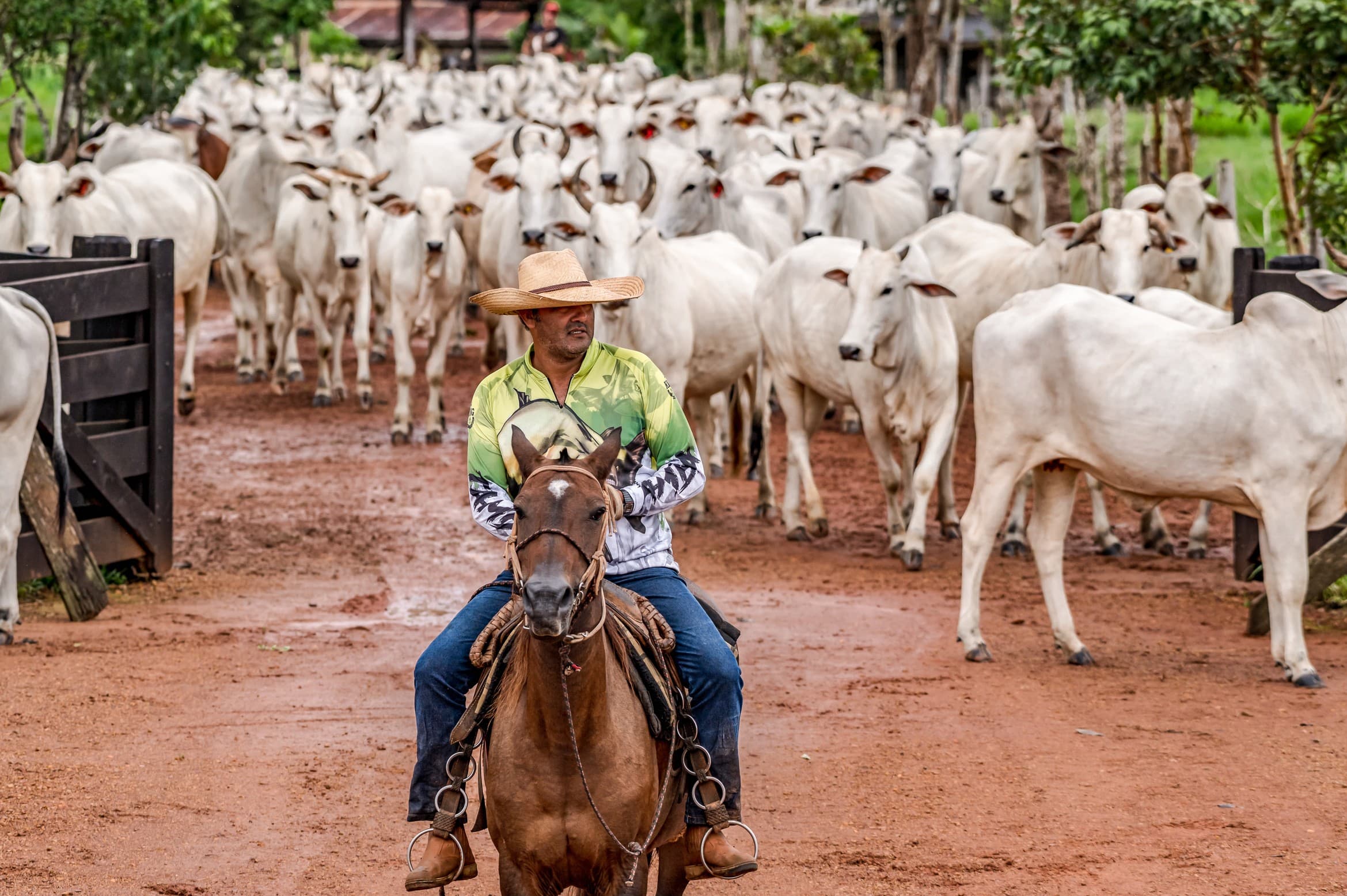 População Ocupada no Agronegócio Brasileiro Alcança 28,4 Milhões em 2026