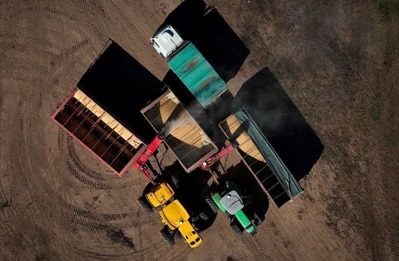 Argentina deve aumentar área plantada de soja em 1,2% para 2026/27